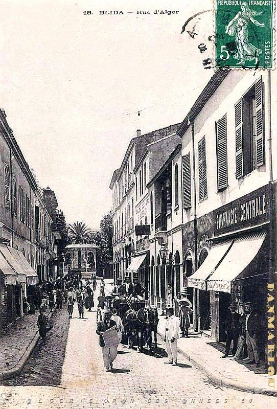 3059- Blida - Rue d'Alger - 1908.jpg